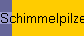 Schimmelpilze